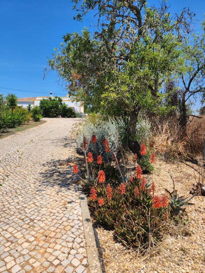 Quinta Das Amendoas Carvoeiro  Luaran gambar